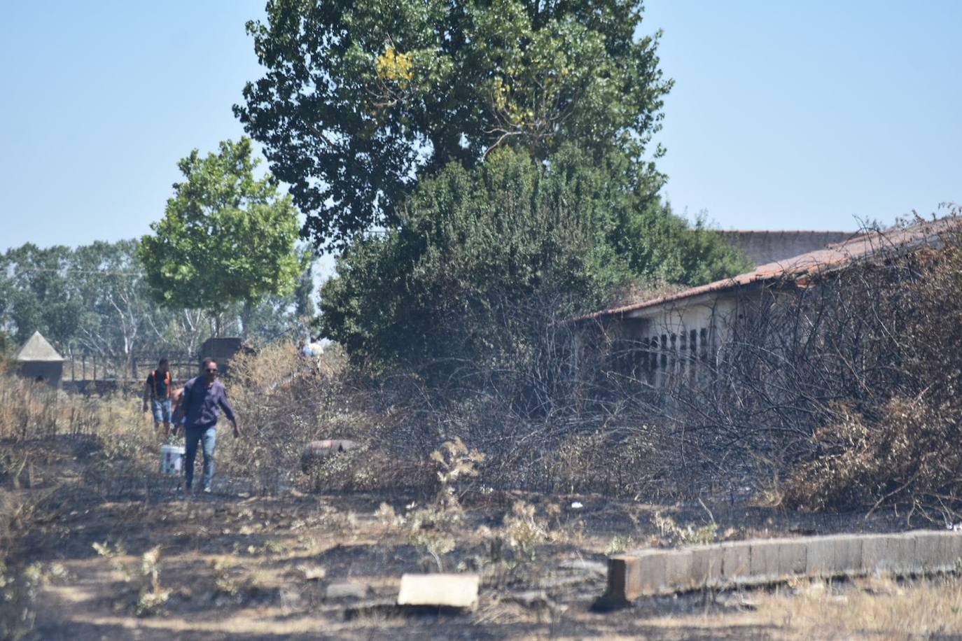 Así han quedado las casetas de las peñas de Santa Marta afectadas por el incendio