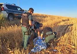 Imagen de los agentes de la Guardia Civil durante la intervención.