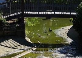 «Da mucha tristeza ver el estanque así, vacío y a los pobres patos casi sin agua»