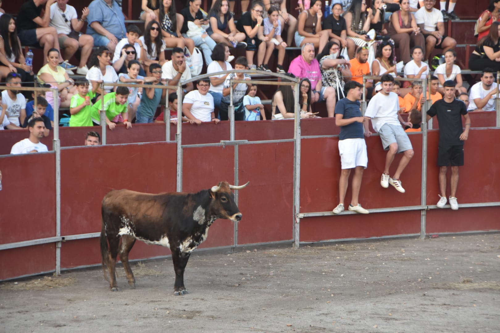 Diversión, risas y tradición taurina