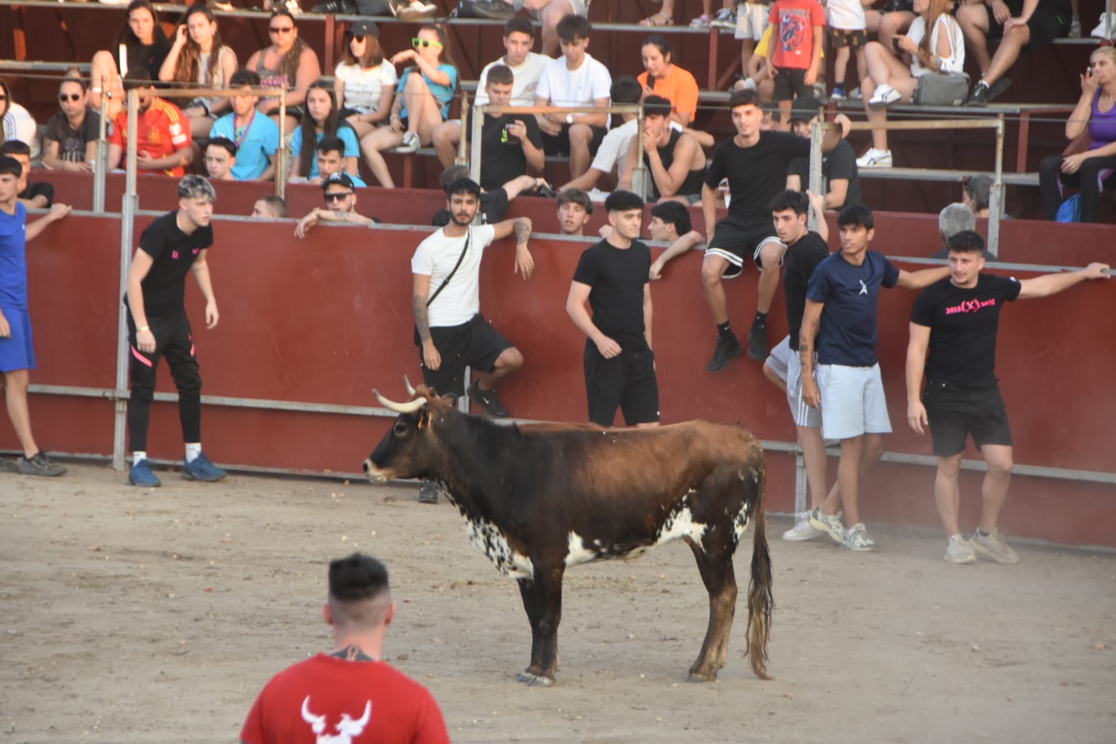 Diversión, risas y tradición taurina