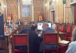 Imagen del pleno de la Diputación de este viernes.