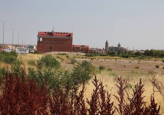 Parcela donde se habilitarán las nuevas plazas de aparcamiento en el barrio de El Zurguén.