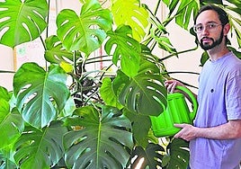 El joven Loïs, junto a su 'mostera deliciosa', una de sus plantas favoritas.