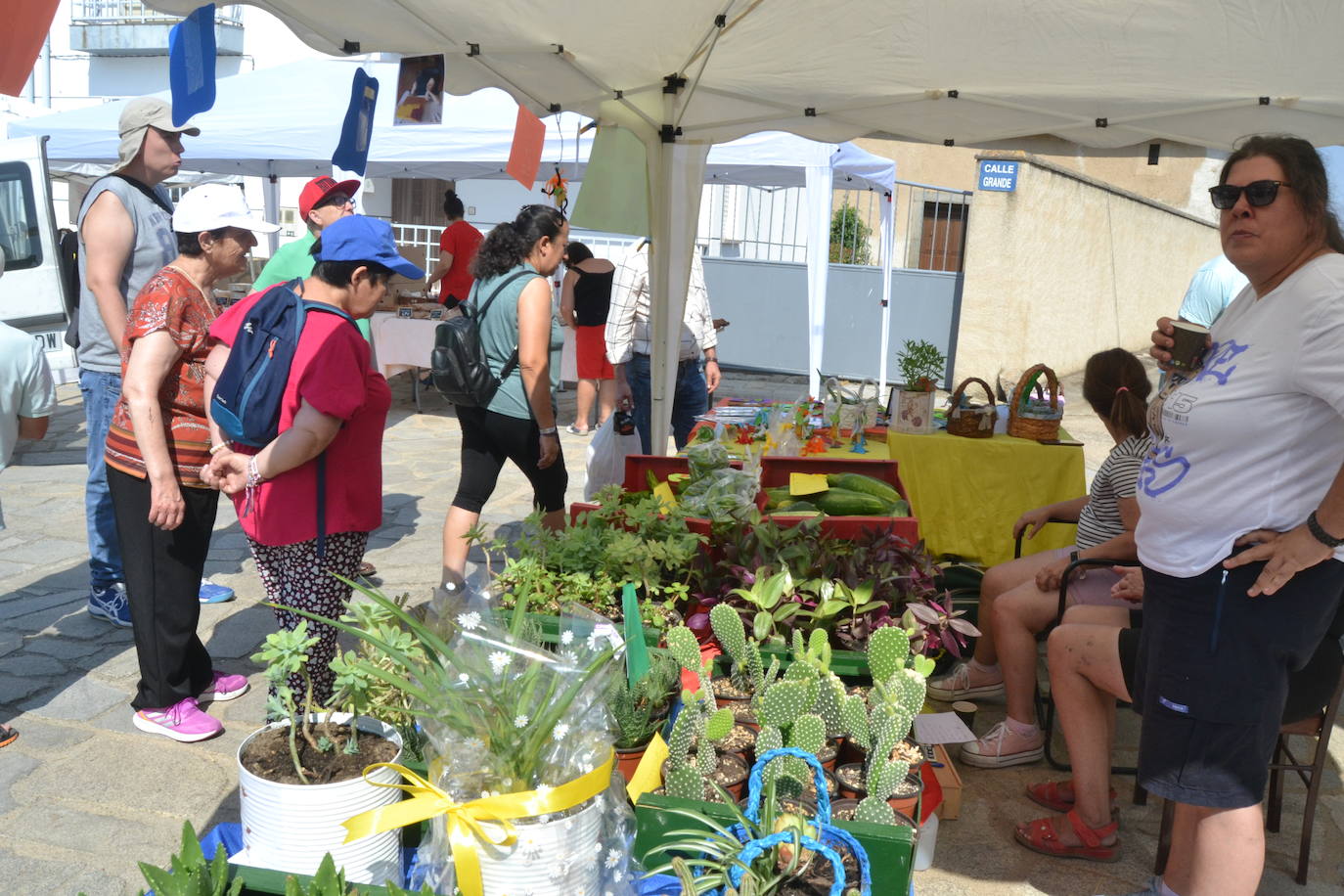 Un delicioso bocado de productos locales en Peralejos de Abajo