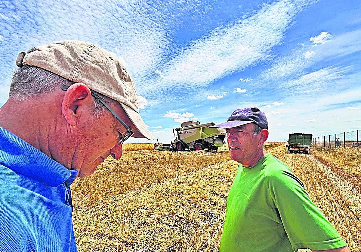Luis Fernando Ruano y Benigno Martín, en una parcela de trigo.