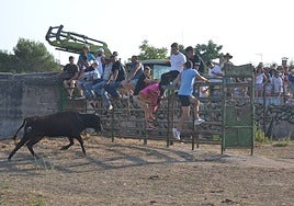 Un mozo corre hacia la valla delante de la vaquilla