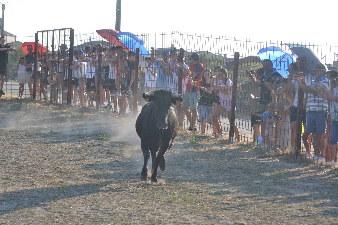 Un día repleto de emociones en Peralejos de Abajo