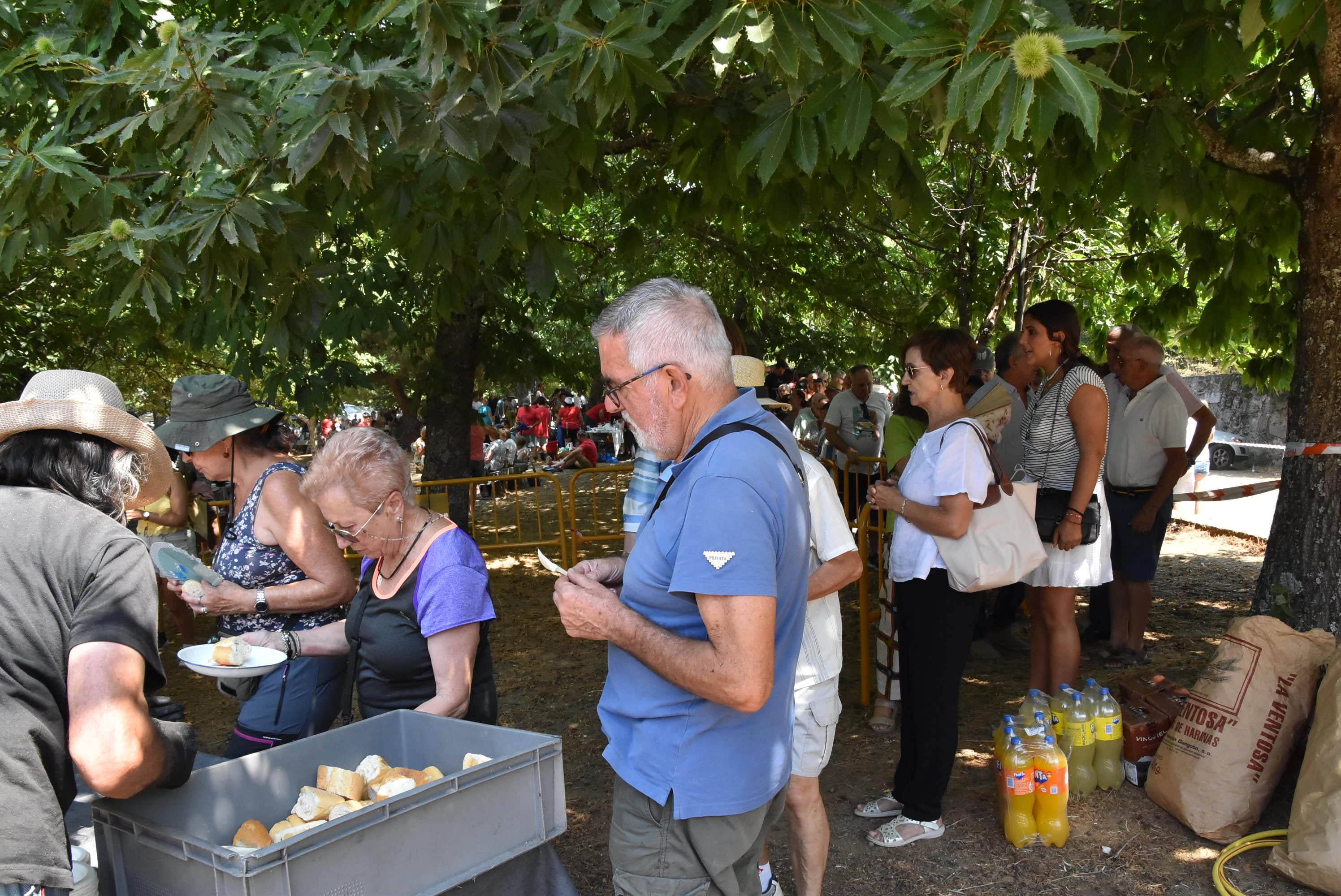 Jaime Sánchez y Estela Flores ganan la 50 edición del Día del Calderillo en Béjar