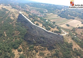 Imagen del incendio forestal en La Bouza.