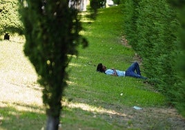 Una persona se echa la siesta en una sombra.