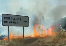 Una imagen del incendio en Peralejos.