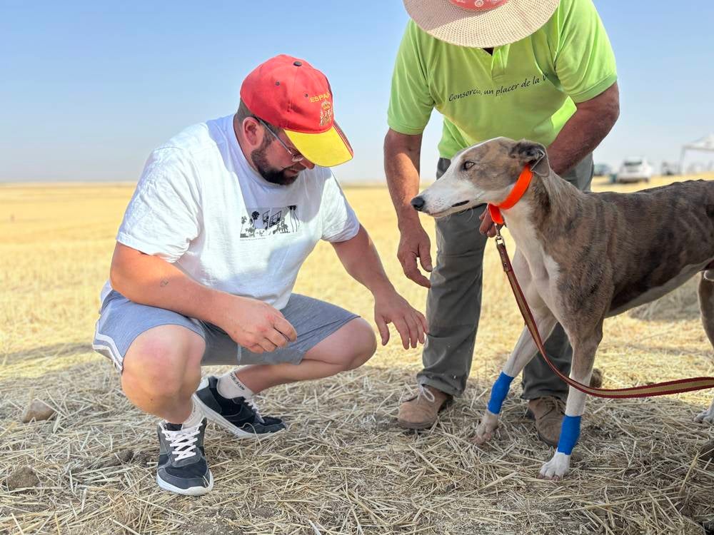 74 galgos de toda España se citan en la prueba de Cantaracillo