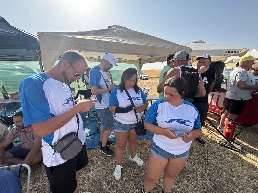 74 galgos de toda España se citan en la prueba de Cantaracillo