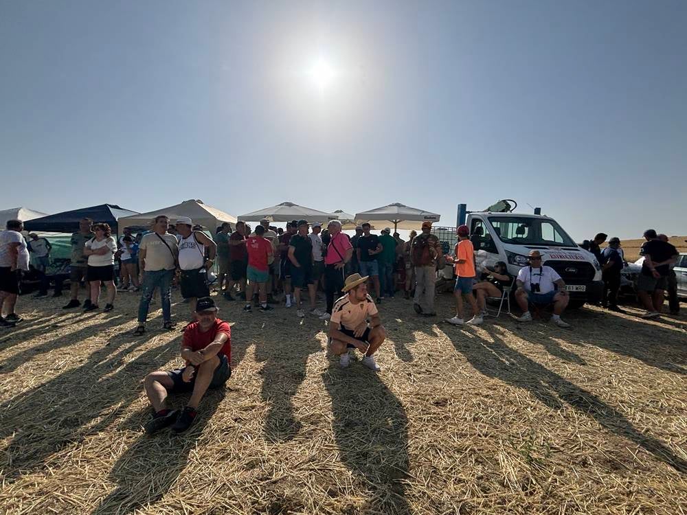 74 galgos de toda España se citan en la prueba de Cantaracillo