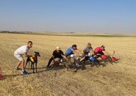 Instantáneas de una jornada de campo en Cantaracillo.