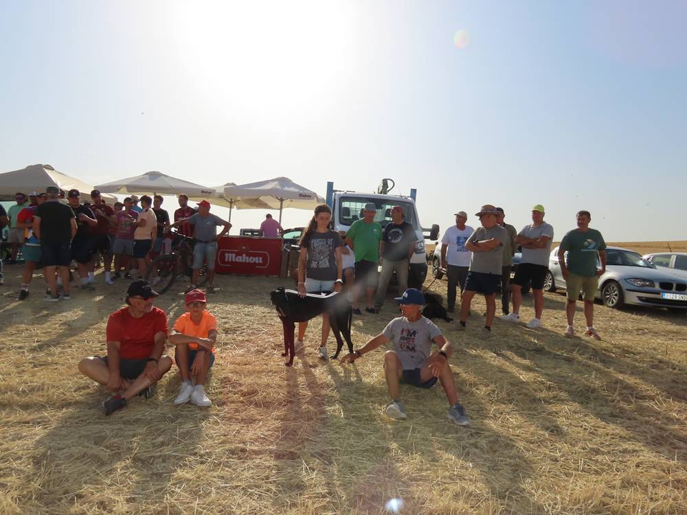 74 galgos de toda España se citan en la prueba de Cantaracillo