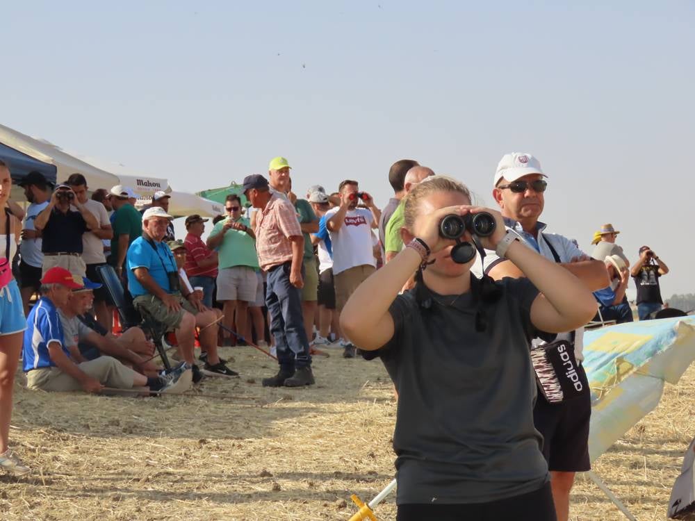 74 galgos de toda España se citan en la prueba de Cantaracillo