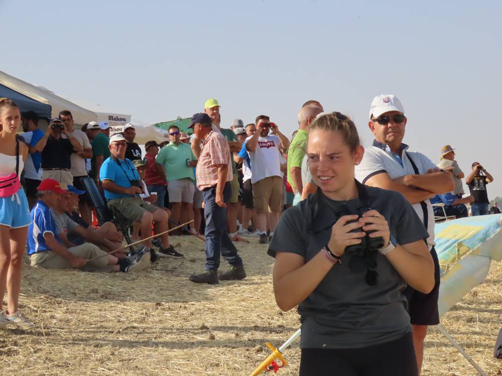 74 galgos de toda España se citan en la prueba de Cantaracillo