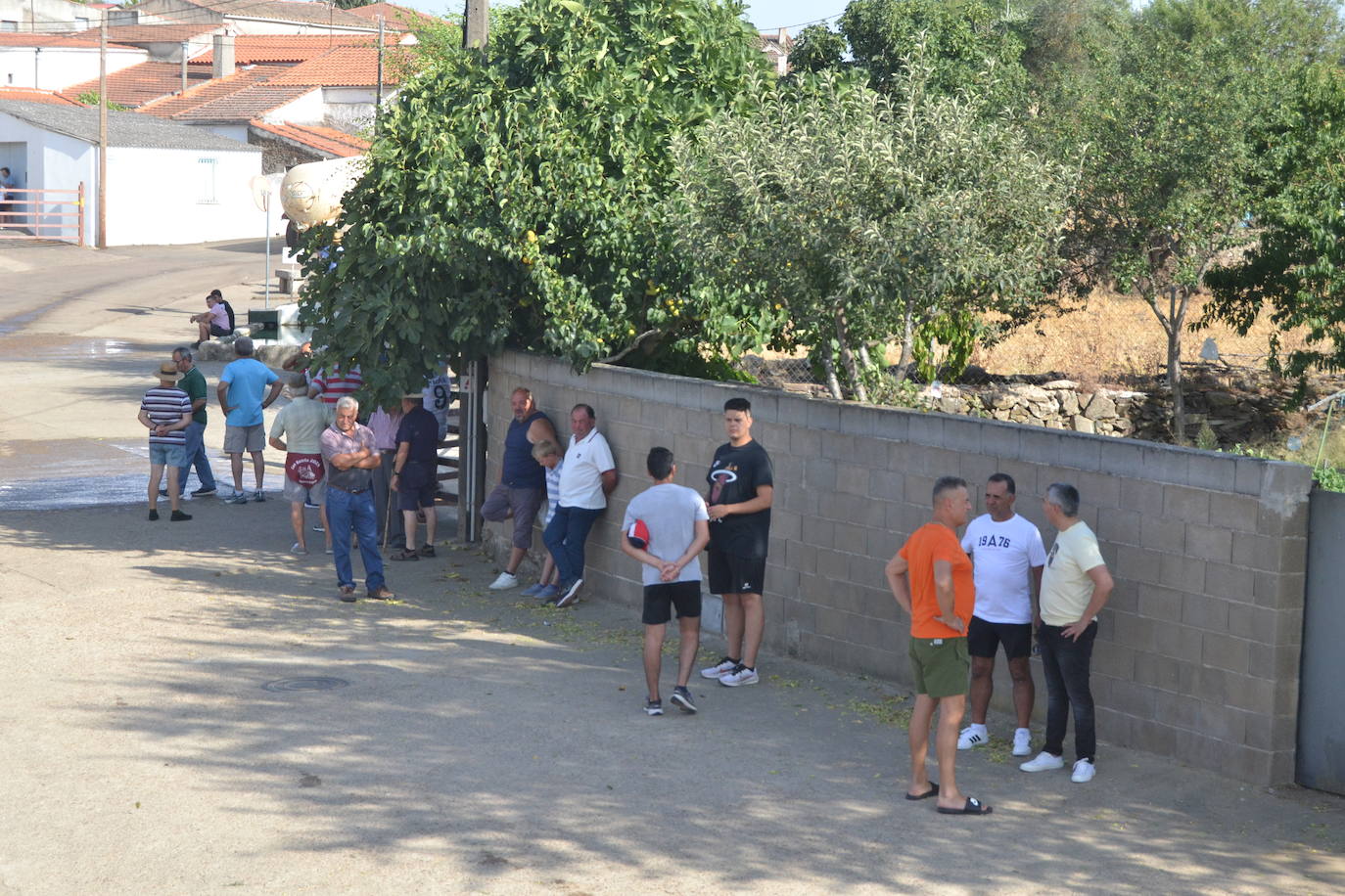 Divertido encierro en Saelices el Chico