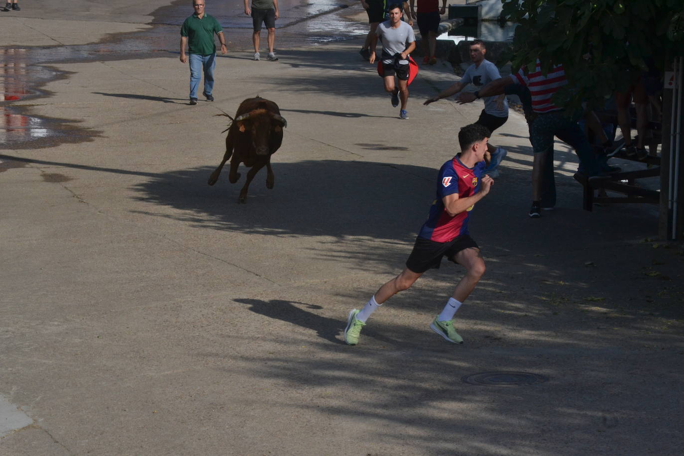 Divertido encierro en Saelices el Chico