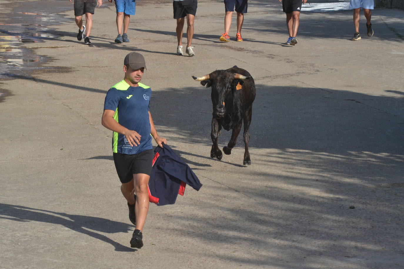 Divertido encierro en Saelices el Chico