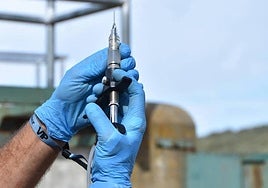 Vacunación de lengua azul.