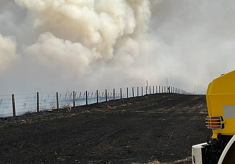 Imagen de la humareda provocada por el incendio que se ha declarado en La Sierpe.