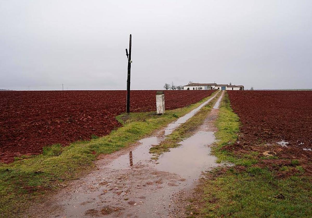 Una imagen del campo salmantino tras un episodio de lluvias.