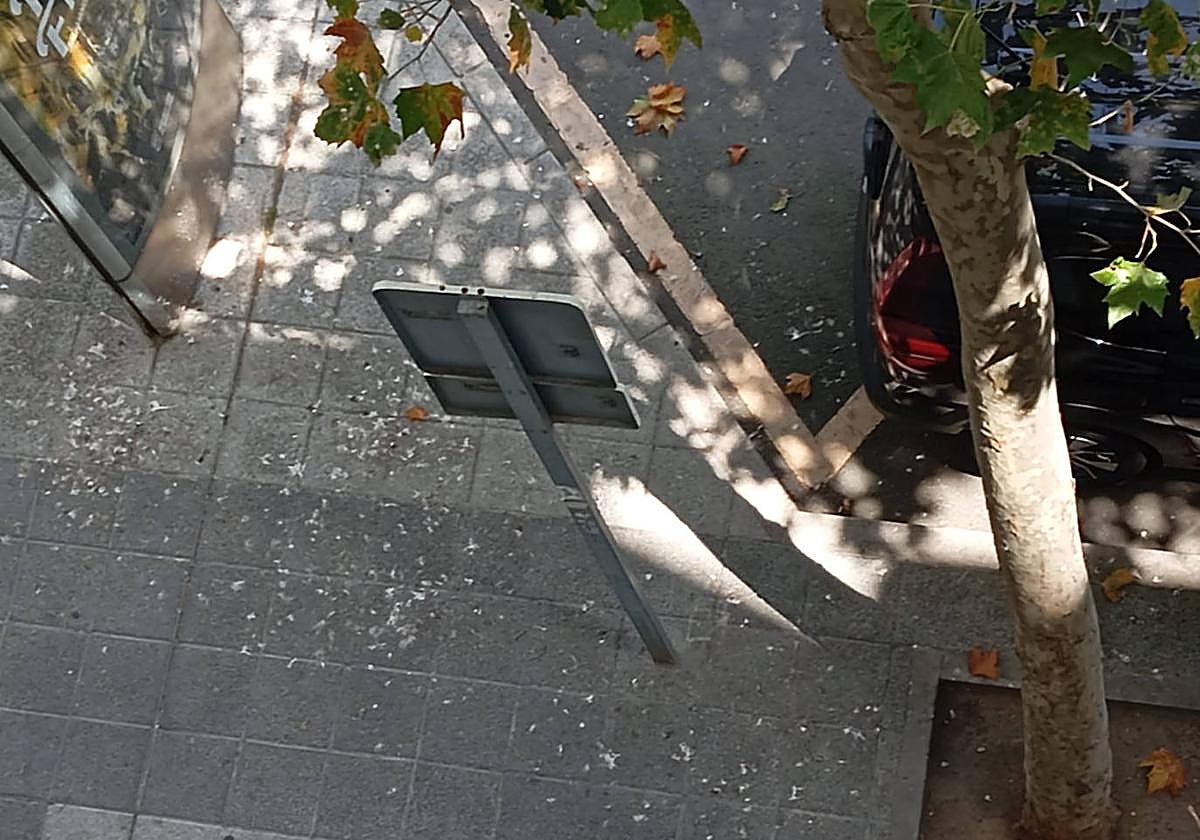 Aceras repletas de excrementos