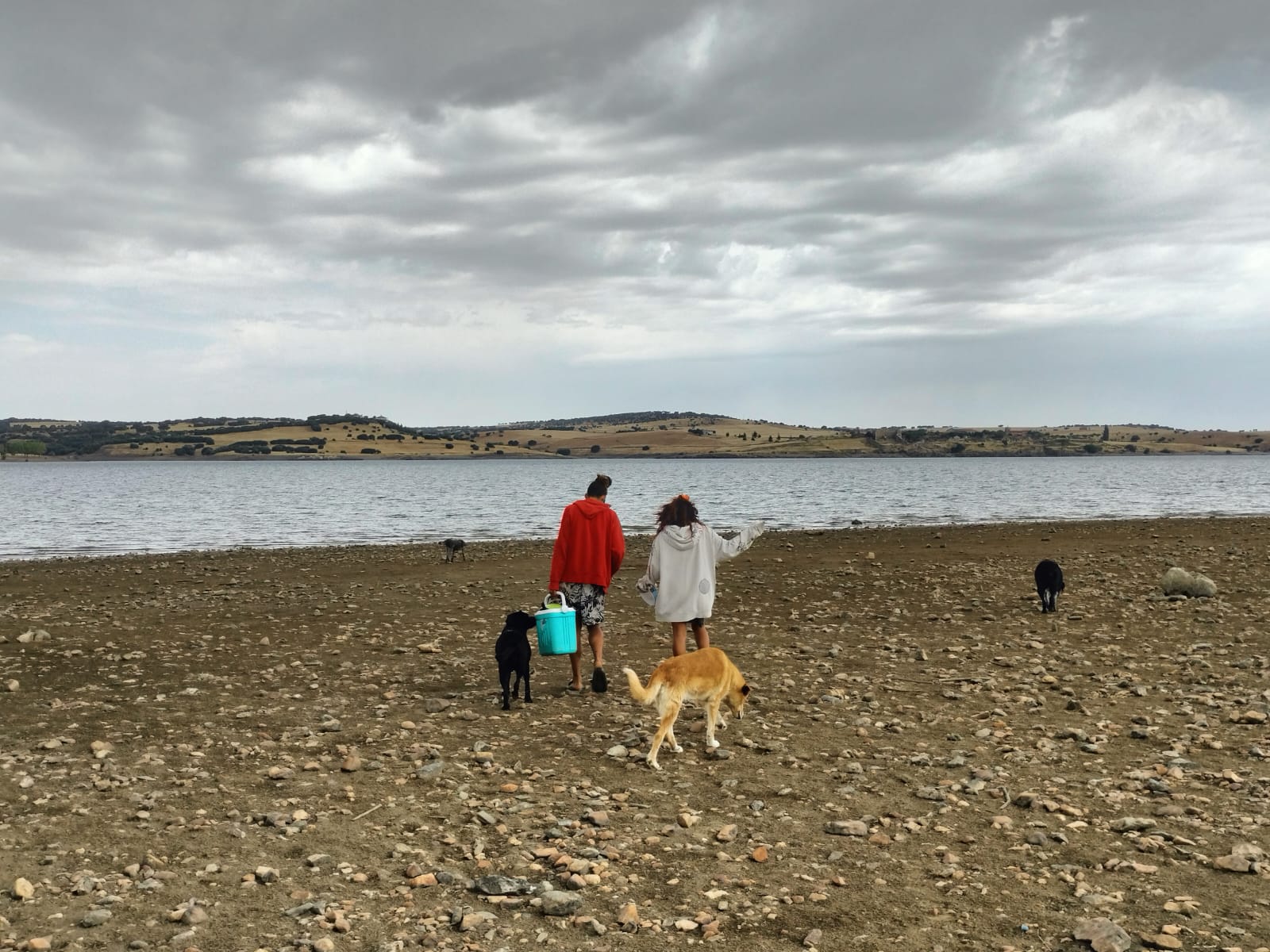 Salvatierra recupera poco a poco la normalidad tras la &#039;rave&#039;