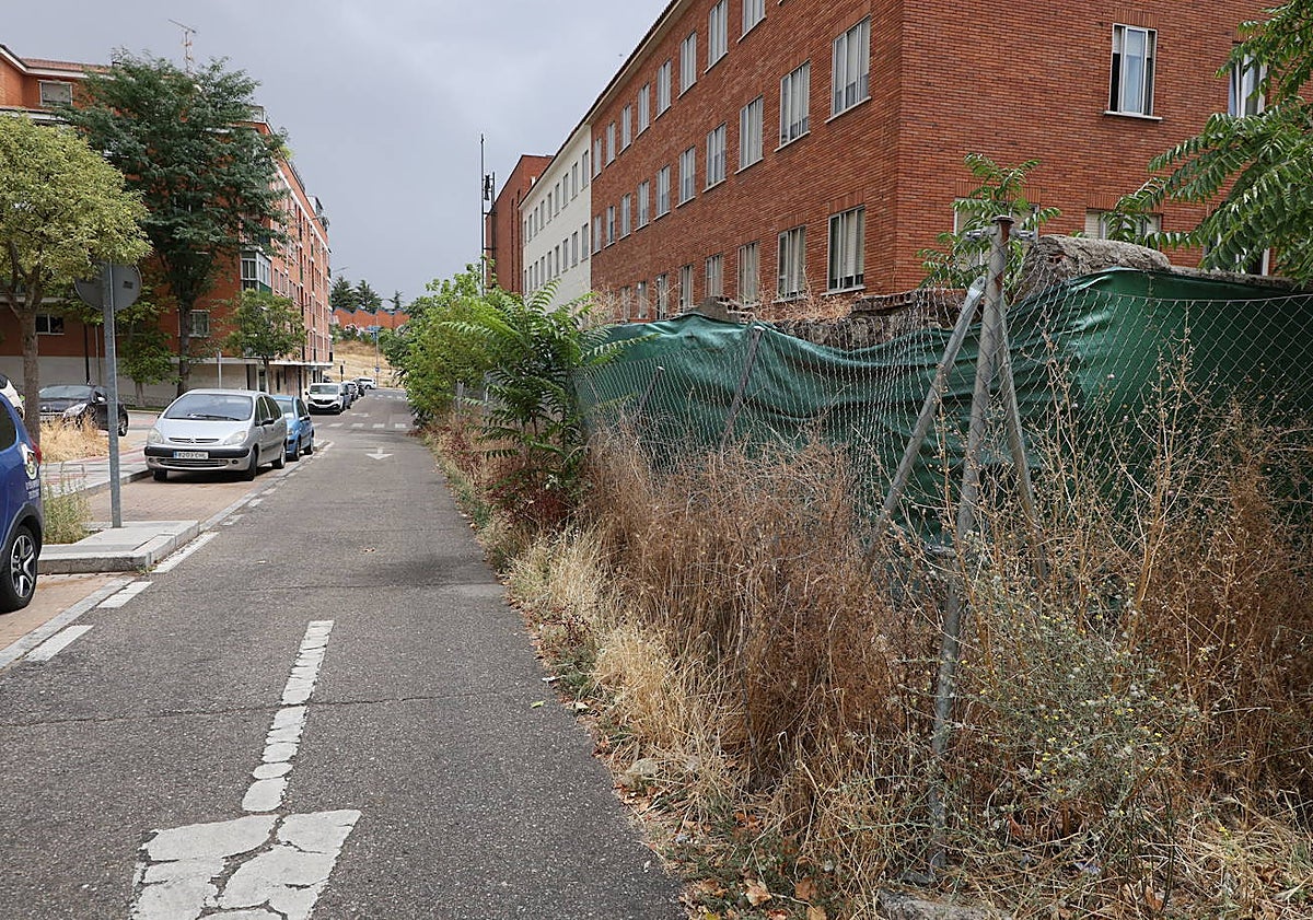 Imagen principal - Preocupación en los barrios por solares abandonados y secos en plena temporada de incendios
