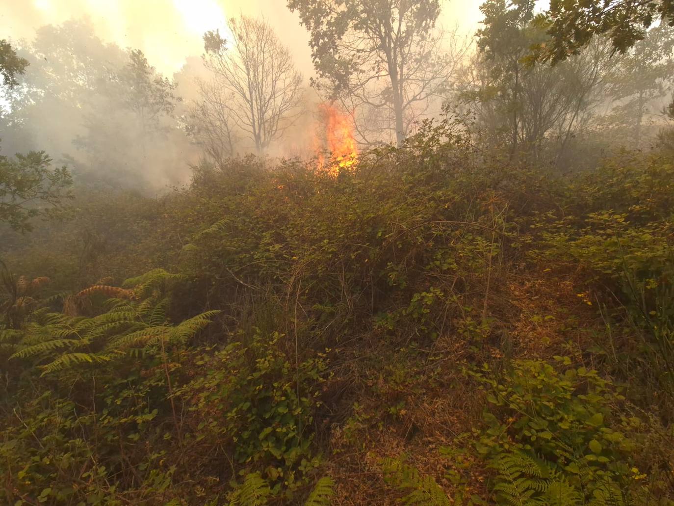 Así están siendo las labores de extinción del terrible incendio de La Alberca