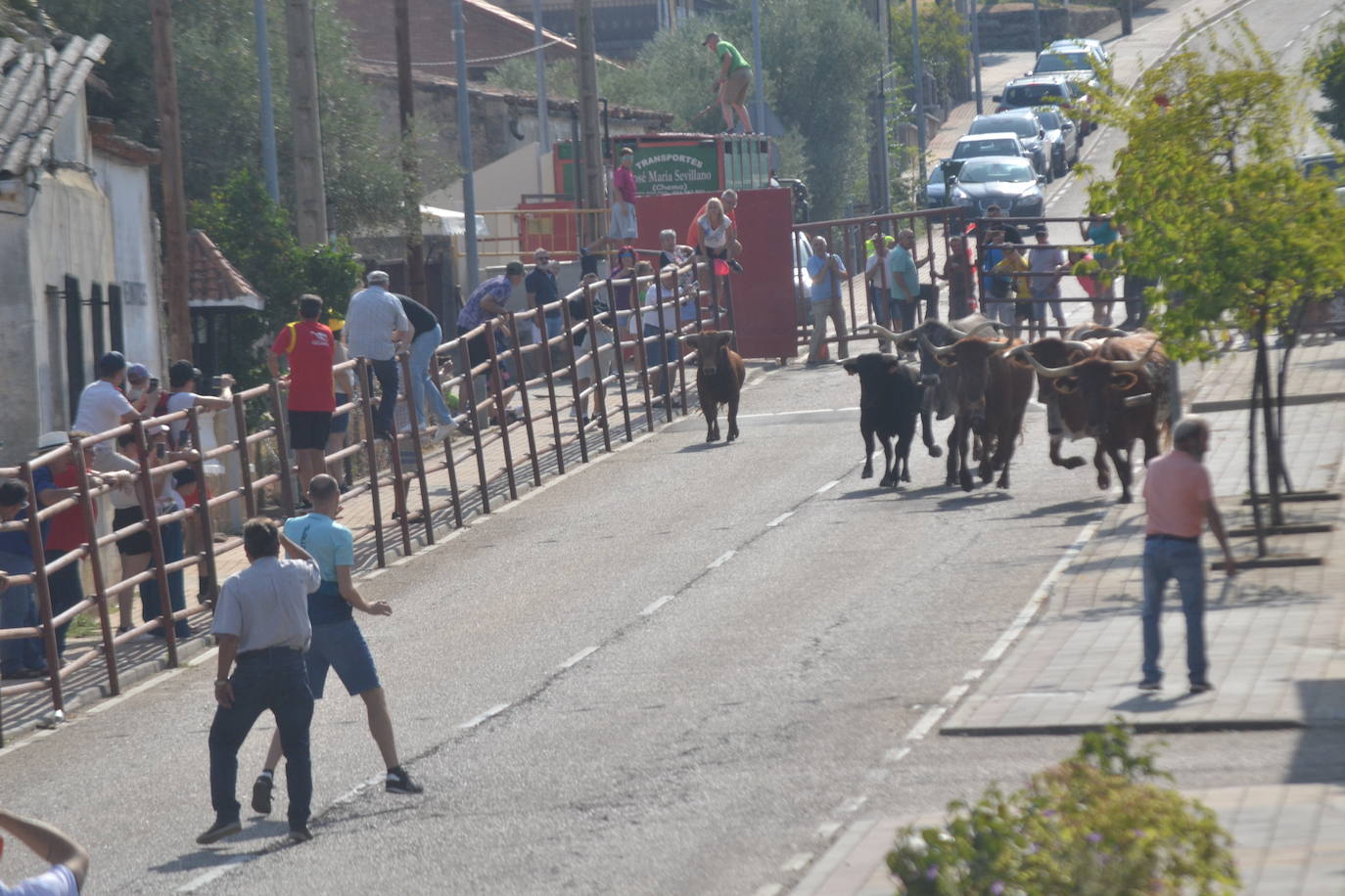 Rápido encierro en Villarino de los Aires