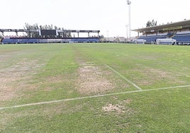 Estado del tapete del estadio Reina Sofía en la jornada de este jueves.