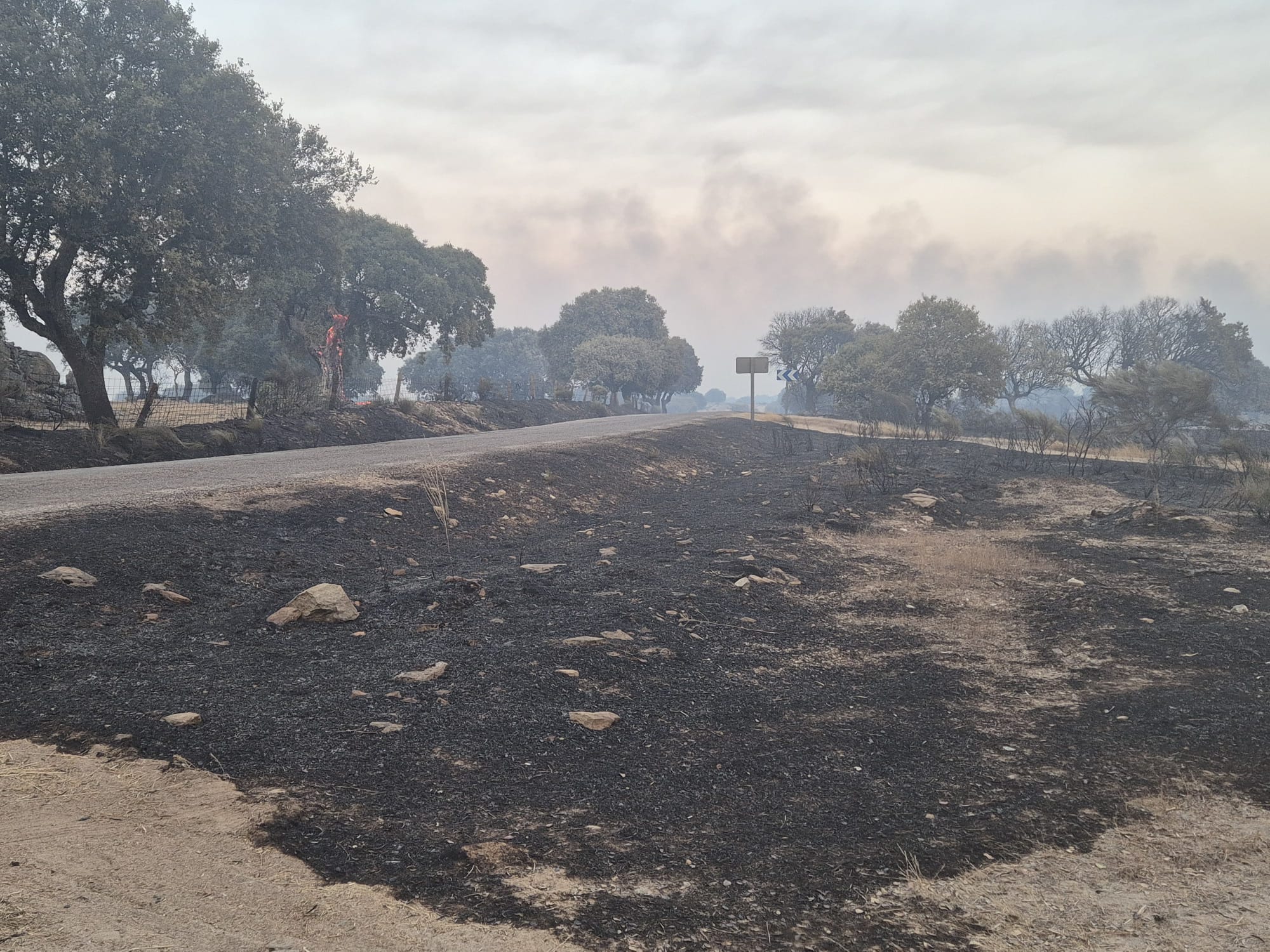 Los incendios de la provincia de este sábado, en imágenes
