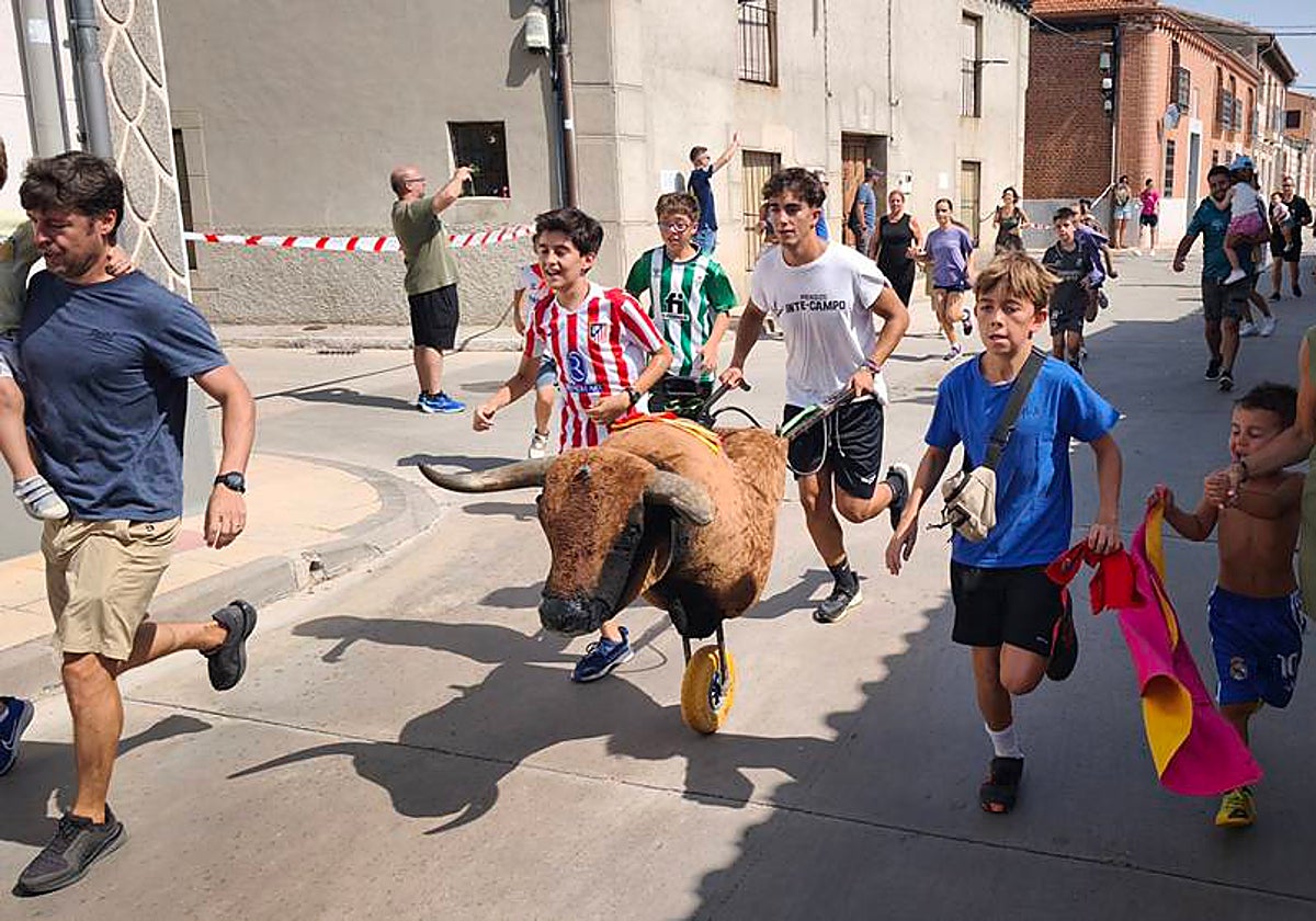 Multitudinario encierro infantil de Macotera