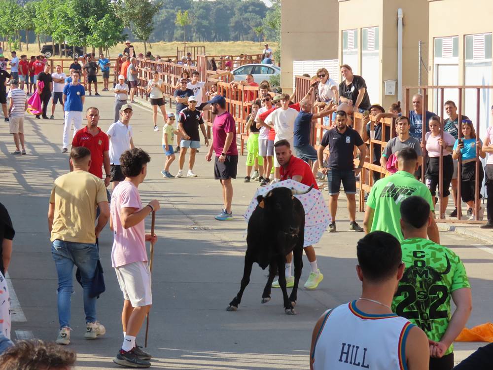 El festejo taurino vuelve a llenar de afición las calles de Cantalpino