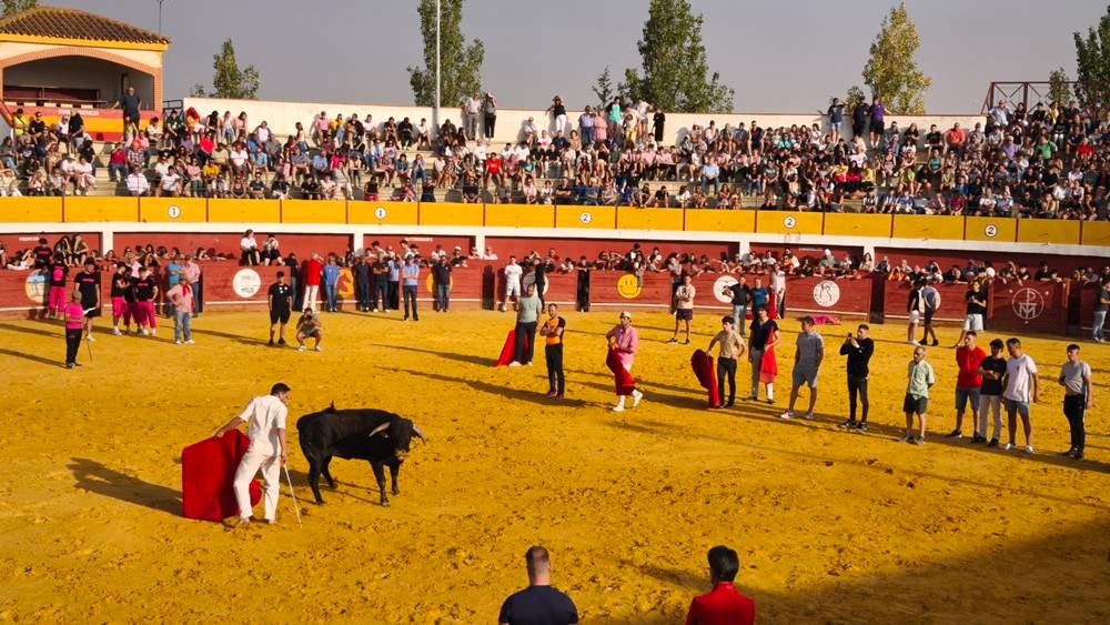 Primer encierro tradicional por las calles de Macotera