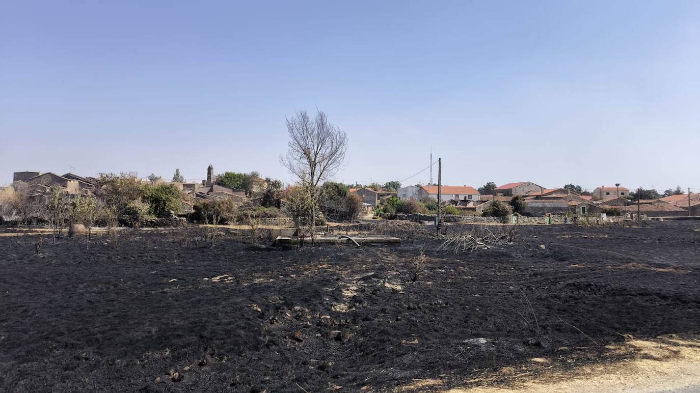 Imagen principal - 1) Imagen de una parcela totalmente arrasada por el fuego en Cerezal de Puertas. 2) Un bombero de la Diputación de Salamanca, camina por un terreno totalmente calcinado. 3) Una de las viviendas de Cerezal de Puertas, devastada por las llamas.