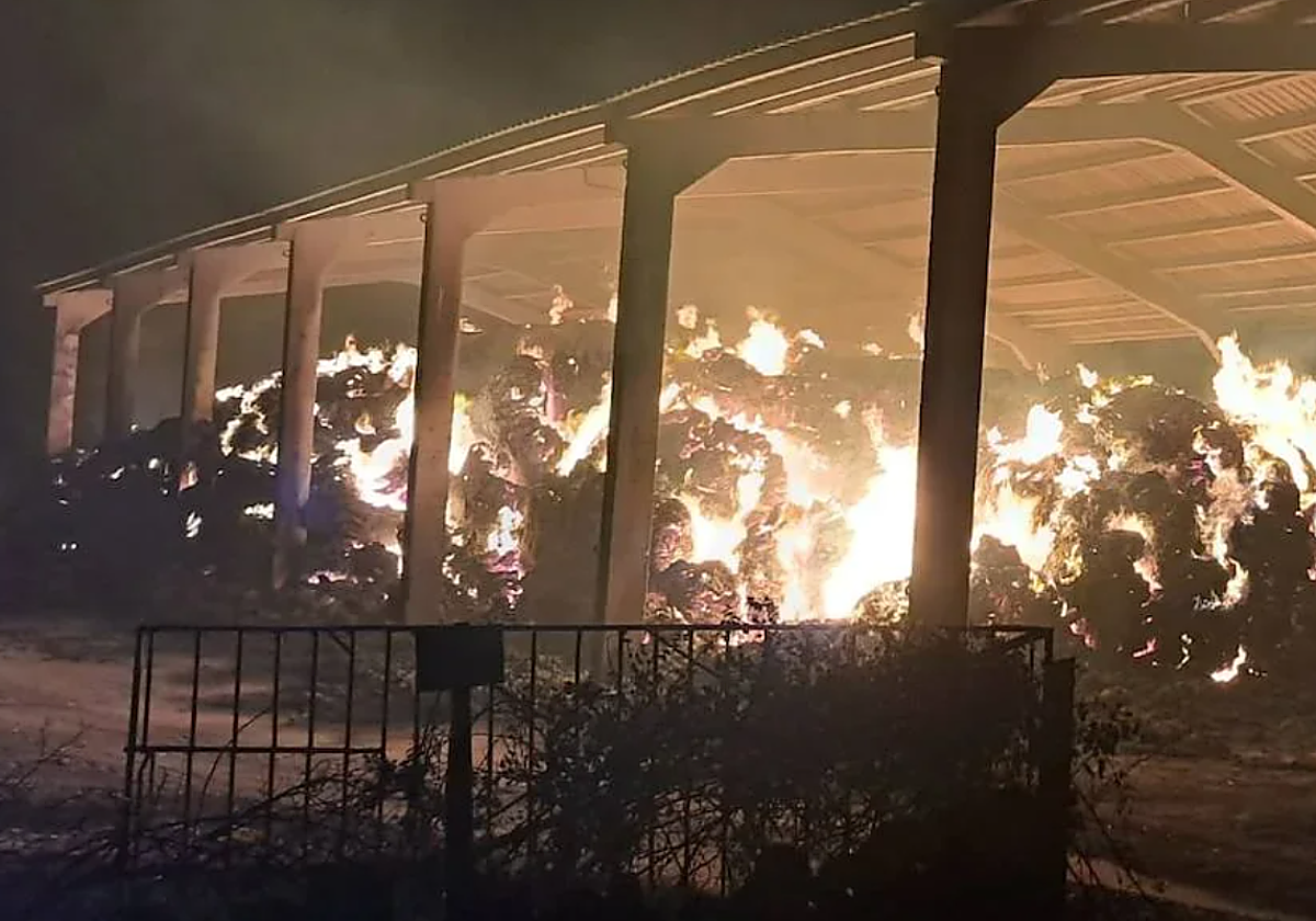 Qué ha ocurrido en Salamanca este sábado 16 de agosto de 2025