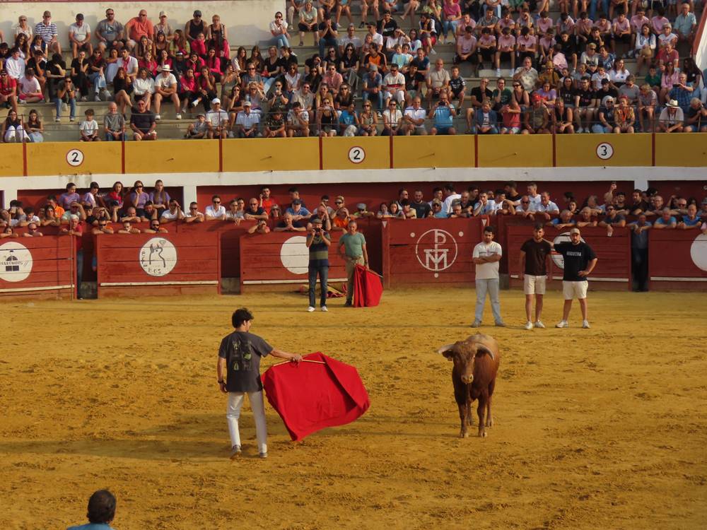 Multitudinario segundo encierro en Macotera