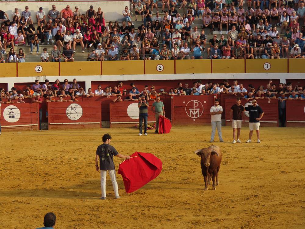 Multitudinario segundo encierro en Macotera