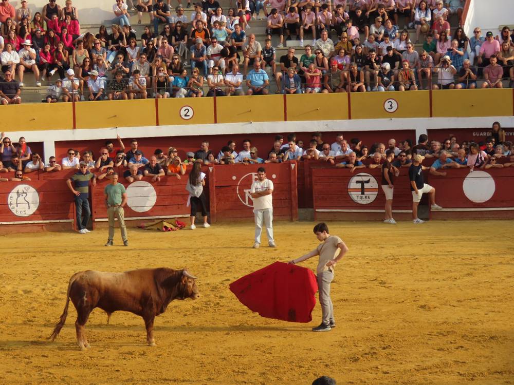 Multitudinario segundo encierro en Macotera