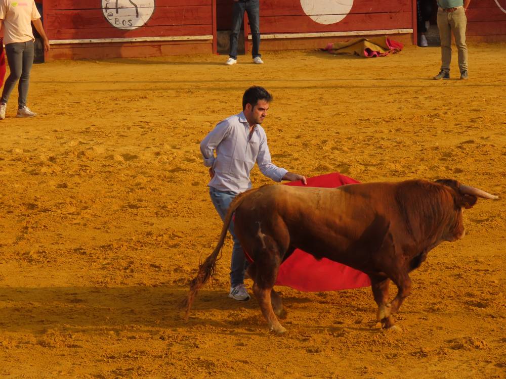 Multitudinario segundo encierro en Macotera