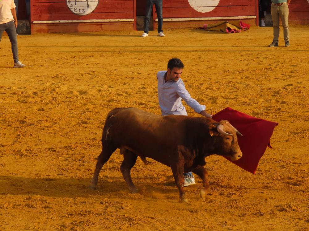 Multitudinario segundo encierro en Macotera