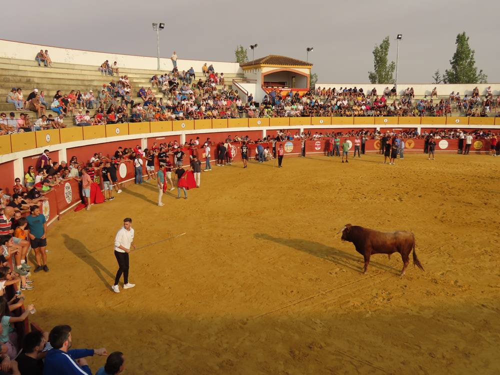 Multitudinario segundo encierro en Macotera