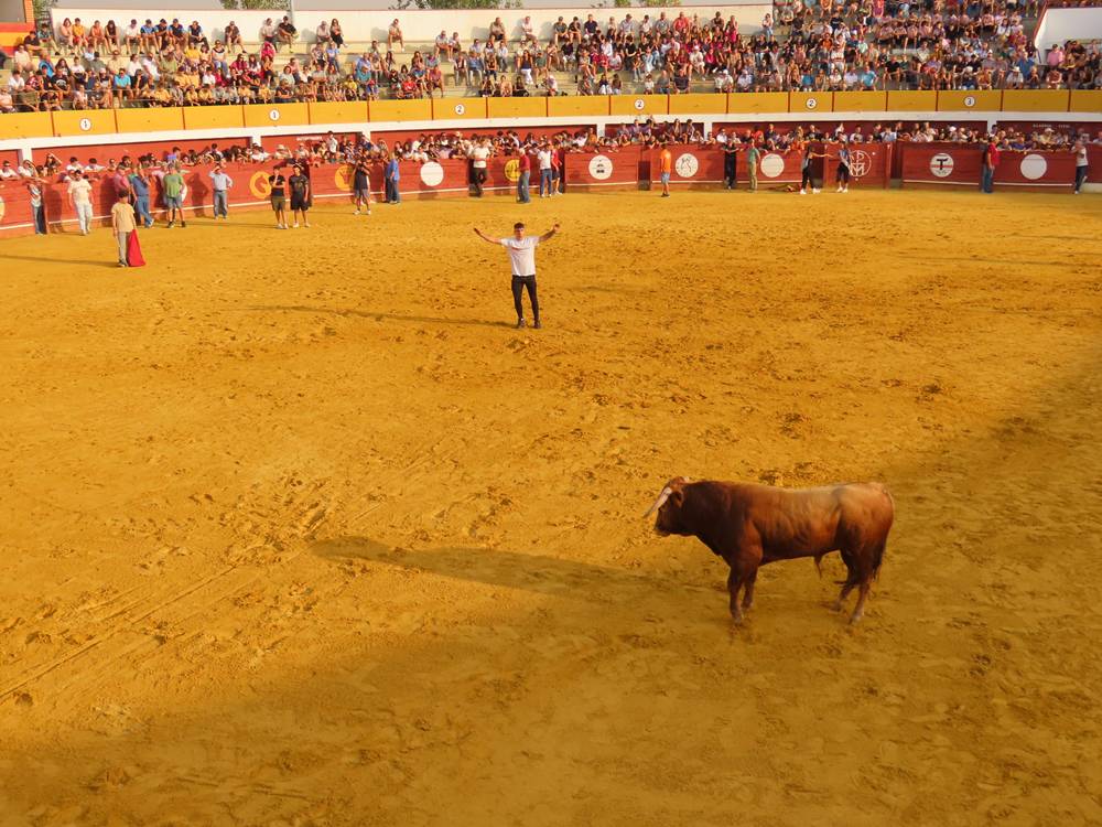 Multitudinario segundo encierro en Macotera