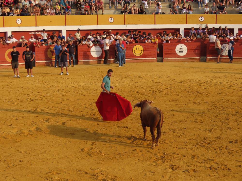 Multitudinario segundo encierro en Macotera