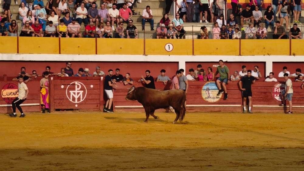 Multitudinario segundo encierro en Macotera
